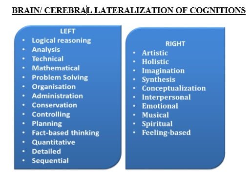 What Is Lateralization In Psychology