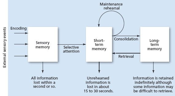 What Is Information Processing Model Of Memory Careershodh