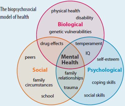 What is Biopsychosocial Model of Health? - Careershodh